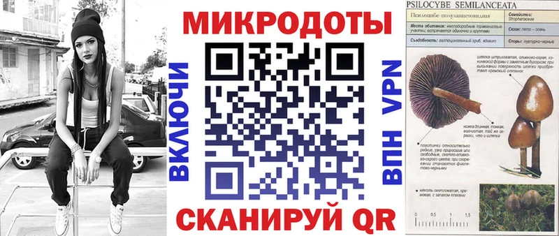 Псилоцибиновые грибы прущие грибы Белокуриха